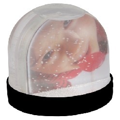 Picture snow globe