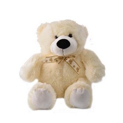 If you have ever needed a hug the Plush Bear  will be happy to keep you comfortable.