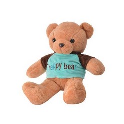 Plush Bear 