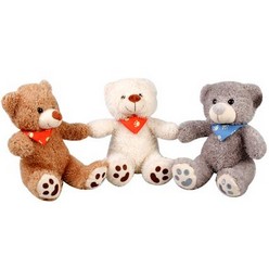 If you have ever needed a hug the Plush Bear Assorted Colours will be happy to keep you comfortable.