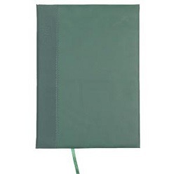 Pocket week to view diary two tone Diary
