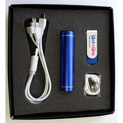 Power Bank Usb Giftset 2600mAh 4 Gig