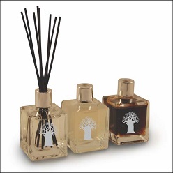 Fragrance diffuses through reeds in vanilla coconut, forest fern and sugared grapefruit