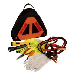 Pair of gloves, ire pressure gauge, battery jumper cable, flashlight, phillips and flathead interchangeable screwdriver, pliers, reflective warning triangle, safety vest