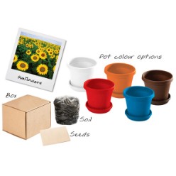 Brighten up your desk and bring in new life to your office environment with these sunflowers that are guaranteed to give great colour, smell and are easy to grow. This item includes sunflower seeds, soil, plastic pot and saucer.