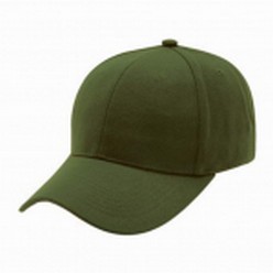 Security cap, polyester fade resistant fabric, 2 panel design, pre-curved peak, self fabric velcro strap