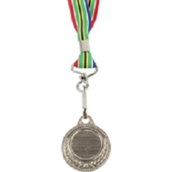 Silver medal with SA flag ribbon  includes dome on medal which is made from metal