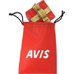 Polyester - Gift Bag