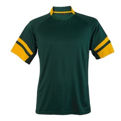 Synergy shirt: 135g 100% polyester with moisture management: e-Dri, pique' knit side panel insert, raglan sleeves