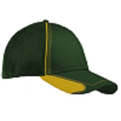 Topflex executive cap Topflex executive cap
