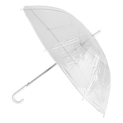 Transparent Umbrella