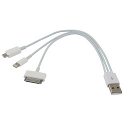 USB Connection and 3 x Charges. For iPhone 4 & 5, iPad, Blackberry, Kindle, MP3s, MP4s and Samsung Phones & Tablets
