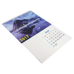 Wall calender, material: 250gsm, page a month calender 