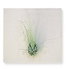 https://www.giftwrap.co.za/images/products/small/GWMI004s.jpg